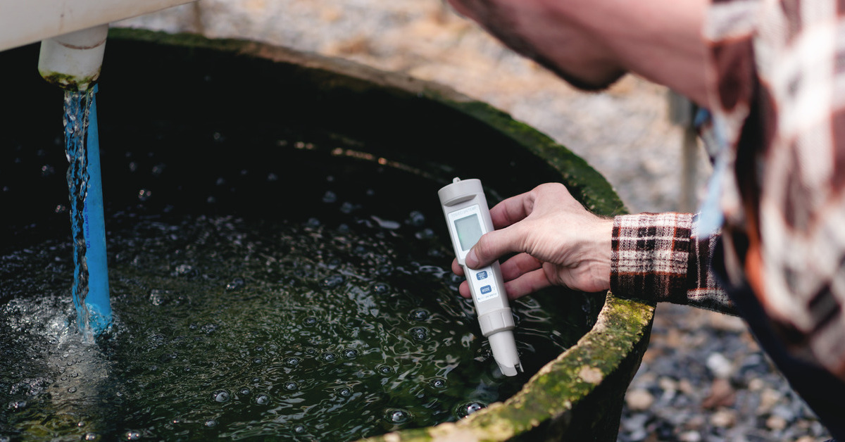 A gardener checking the pH levels of the water in his hydroponics farm. He is using a pH meter in the water.